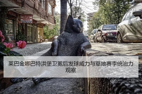 莱巴金娜巴特洪堡卫冕后发球威力与草地赛季统治力观察 | hth