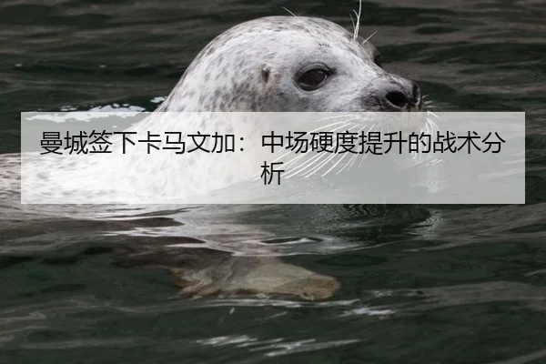 曼城签下卡马文加：中场硬度提升的战术分析 | hth