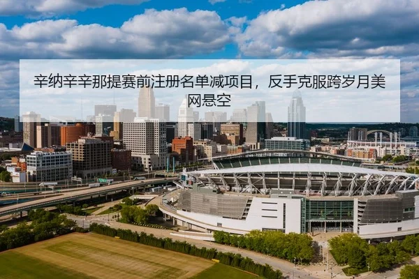 辛纳辛辛那提赛前注册名单减项目，反手克服跨岁月美网悬空 - hth